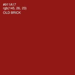 #911A17 - Old Brick Color Image